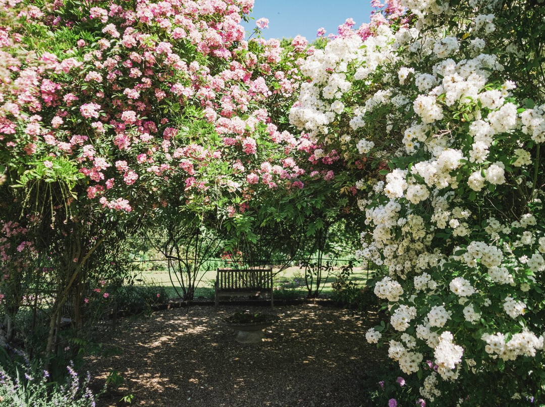 Le Jardin De Marie主图