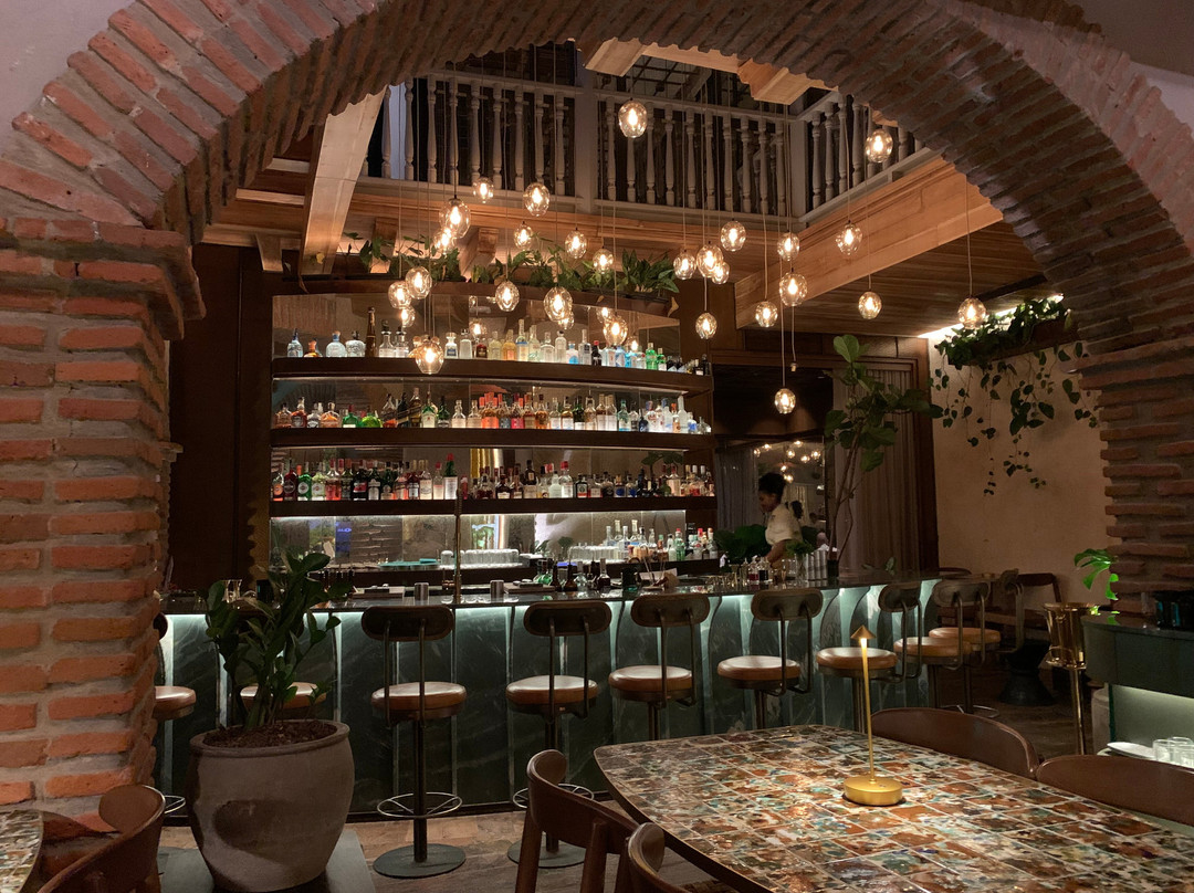 Manglar Bar De Selva Y Mar