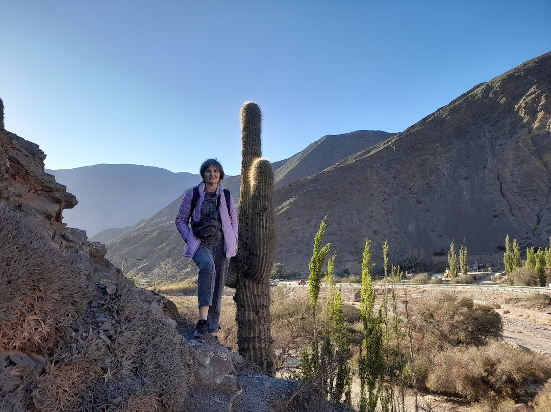Cerro Morado-普尔马马尔卡必去景点