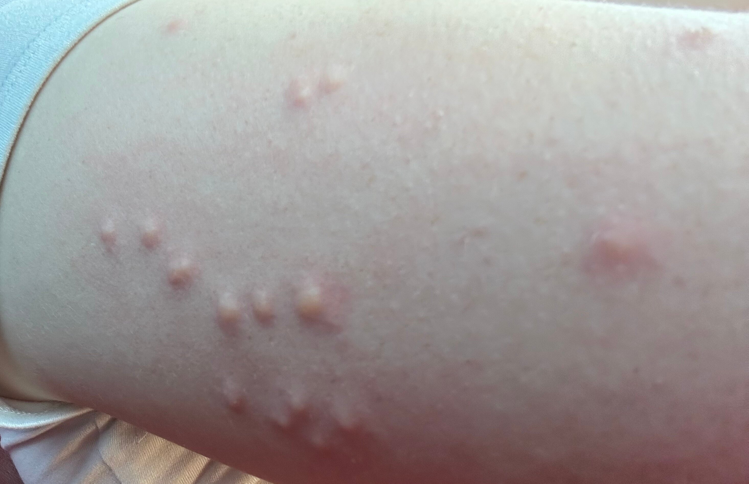 The Stone Village Tourist Camp-官方