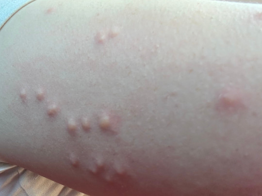 The Stone Village Tourist Camp主图