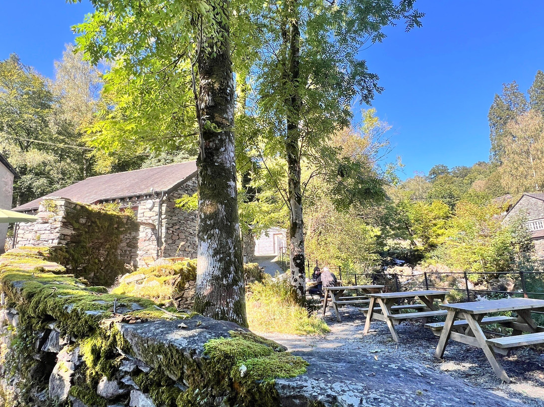 Rydal Hall Gardens景点图片
