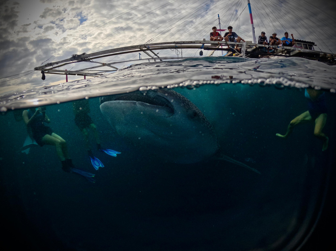 Antonis Buton Tetebatu Tour Guide-Tetebatu必去景点