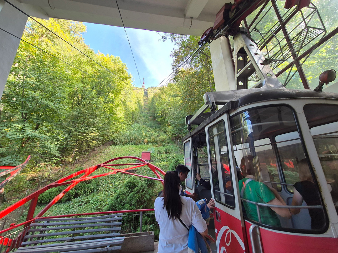 Tampa Cable Car景点图片