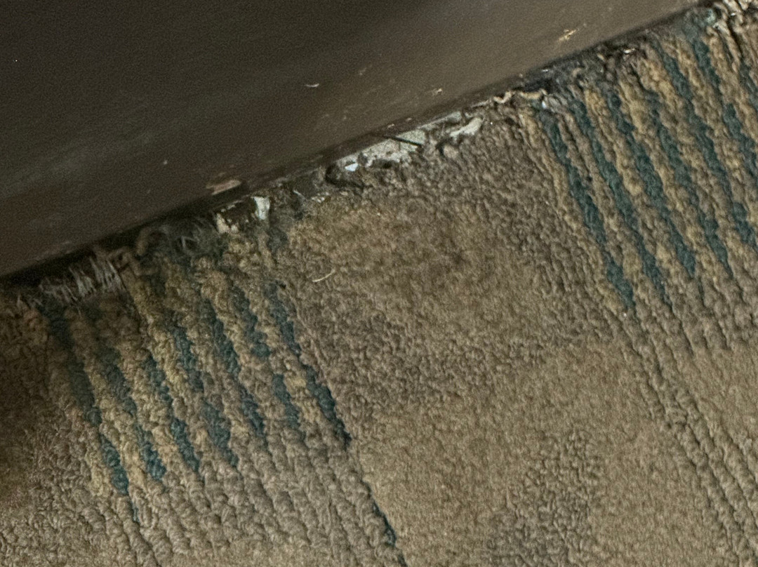 Embassy Suites by Hilton Corpus Christi主图