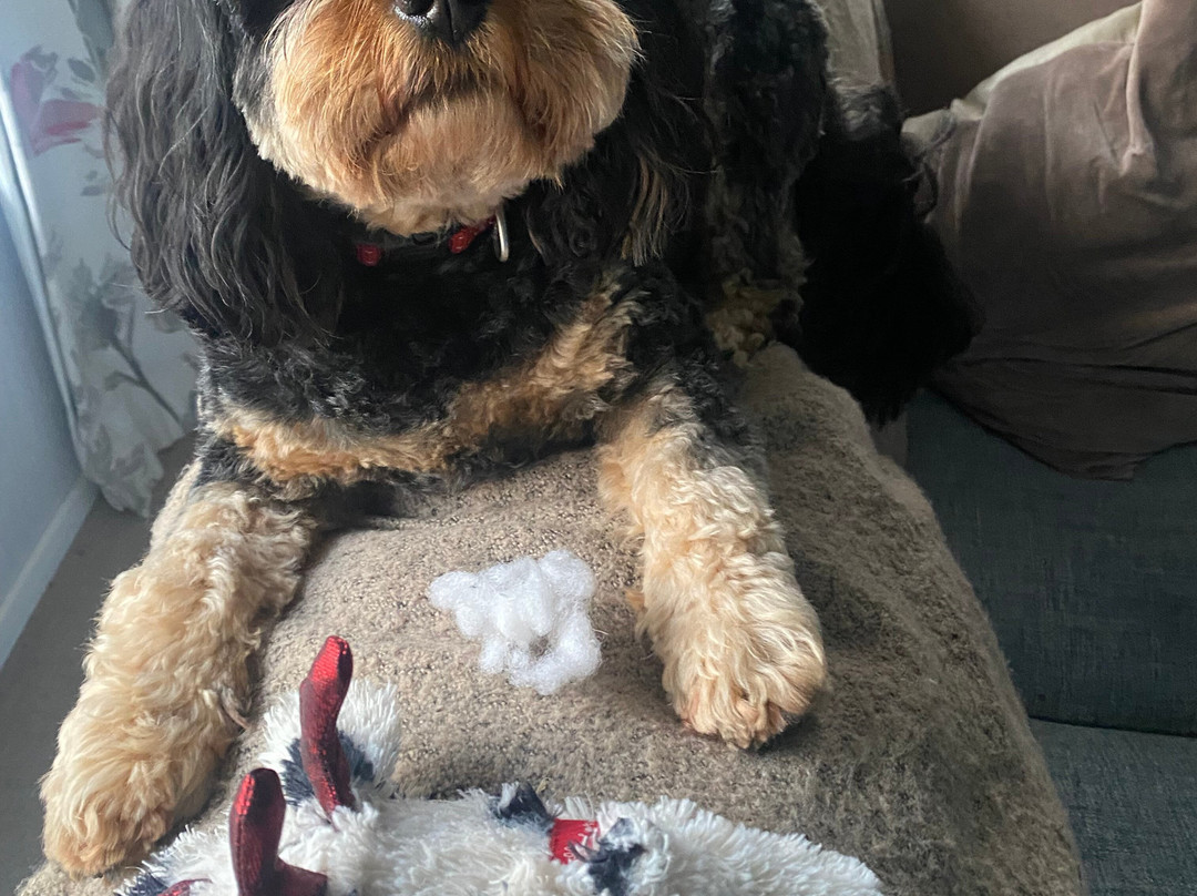 阿兰吉汽车旅馆主图