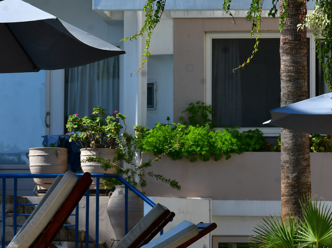 Elizabeth Suites主图