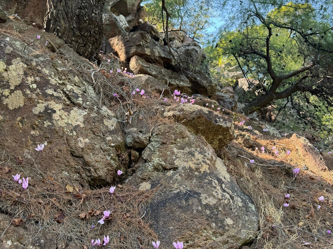 Kameni Chora Volcano-Methana必去景点