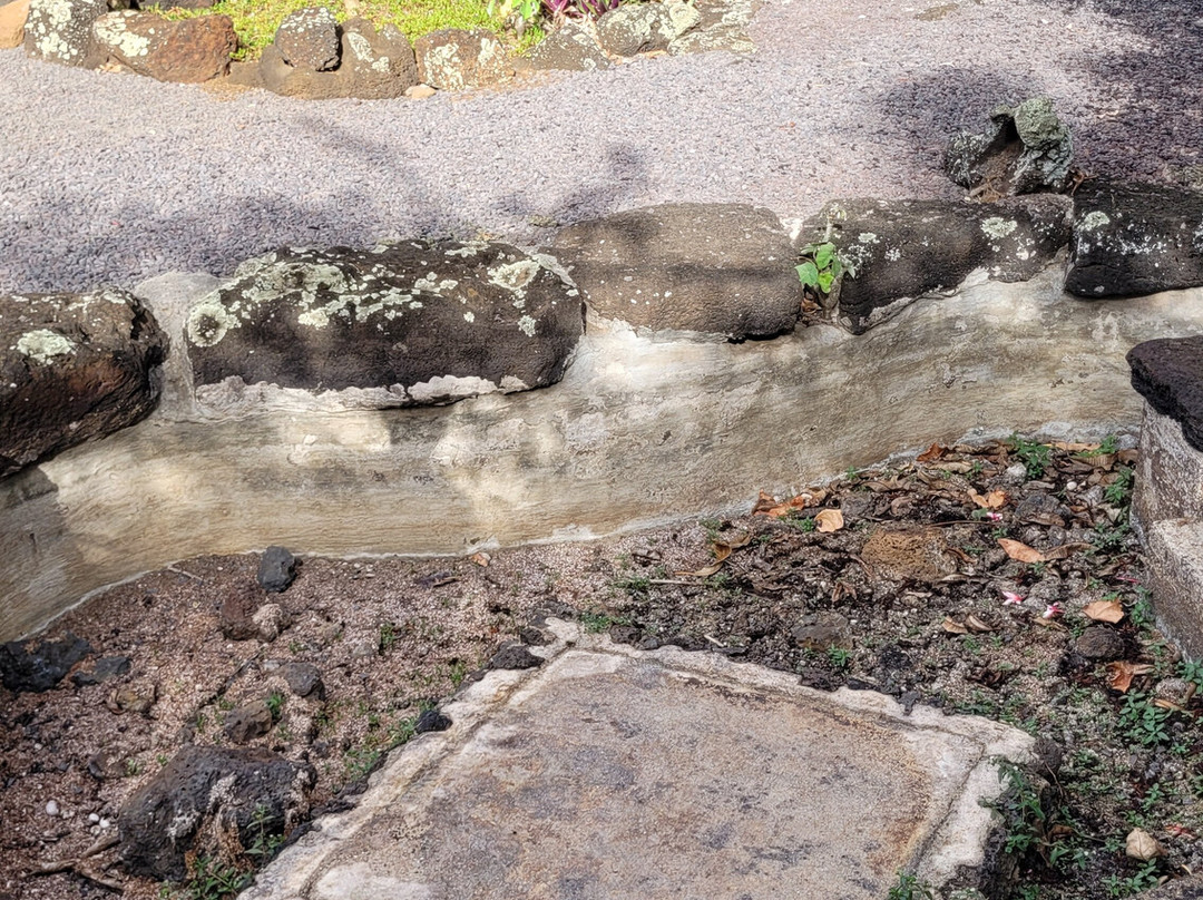 Moir Gardens-坡伊普必去景点