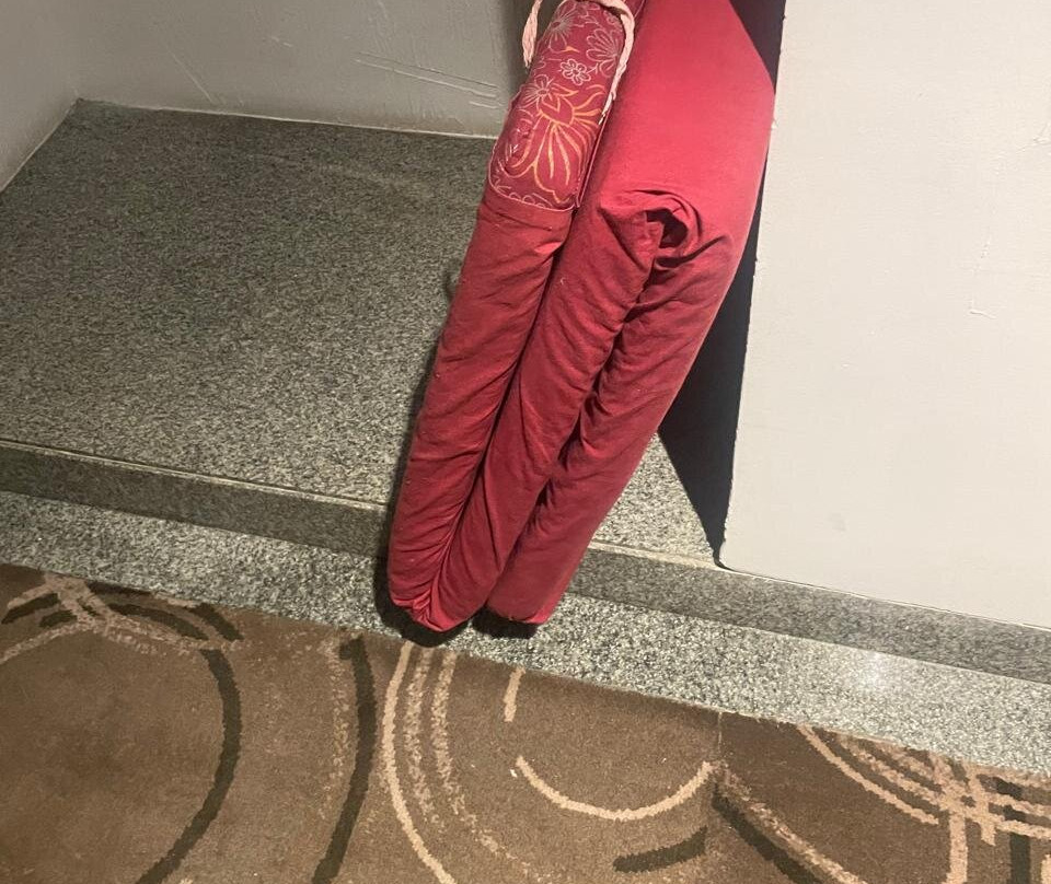 Goldfinch Hotel Mangalore主图