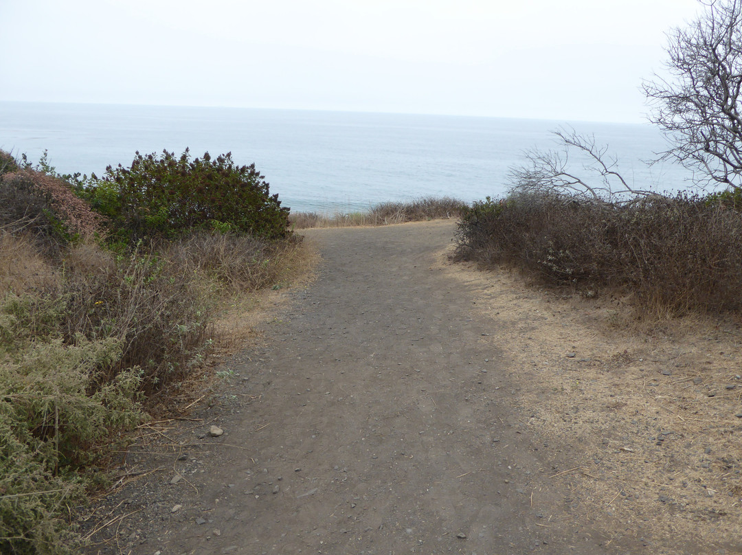 El Pescador State Beach景点图片