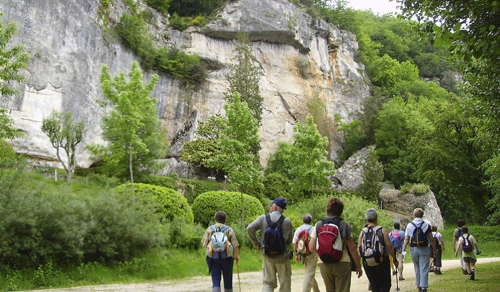 Les Magnolias Gites & Chambre D'Hôtes主图