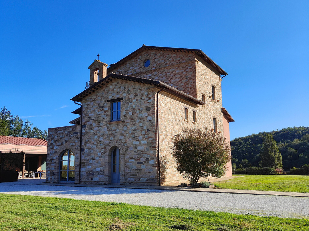 Agriturismo Colle Casini Cortesi主图