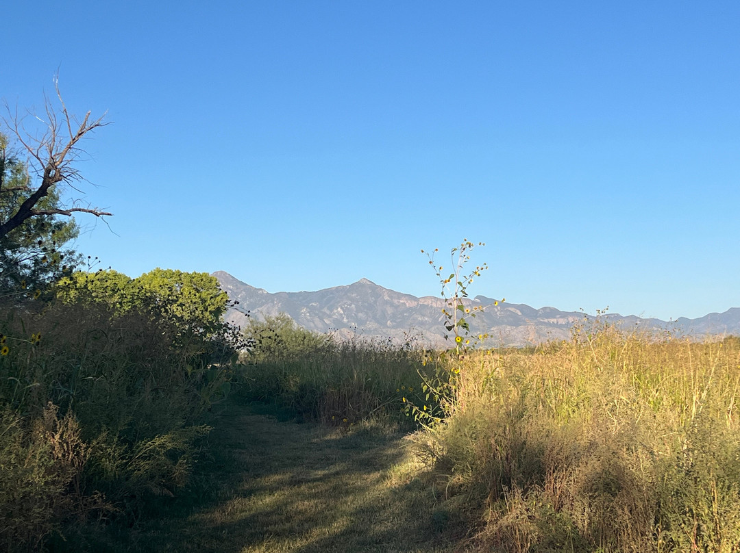 Casa de San Pedro主图