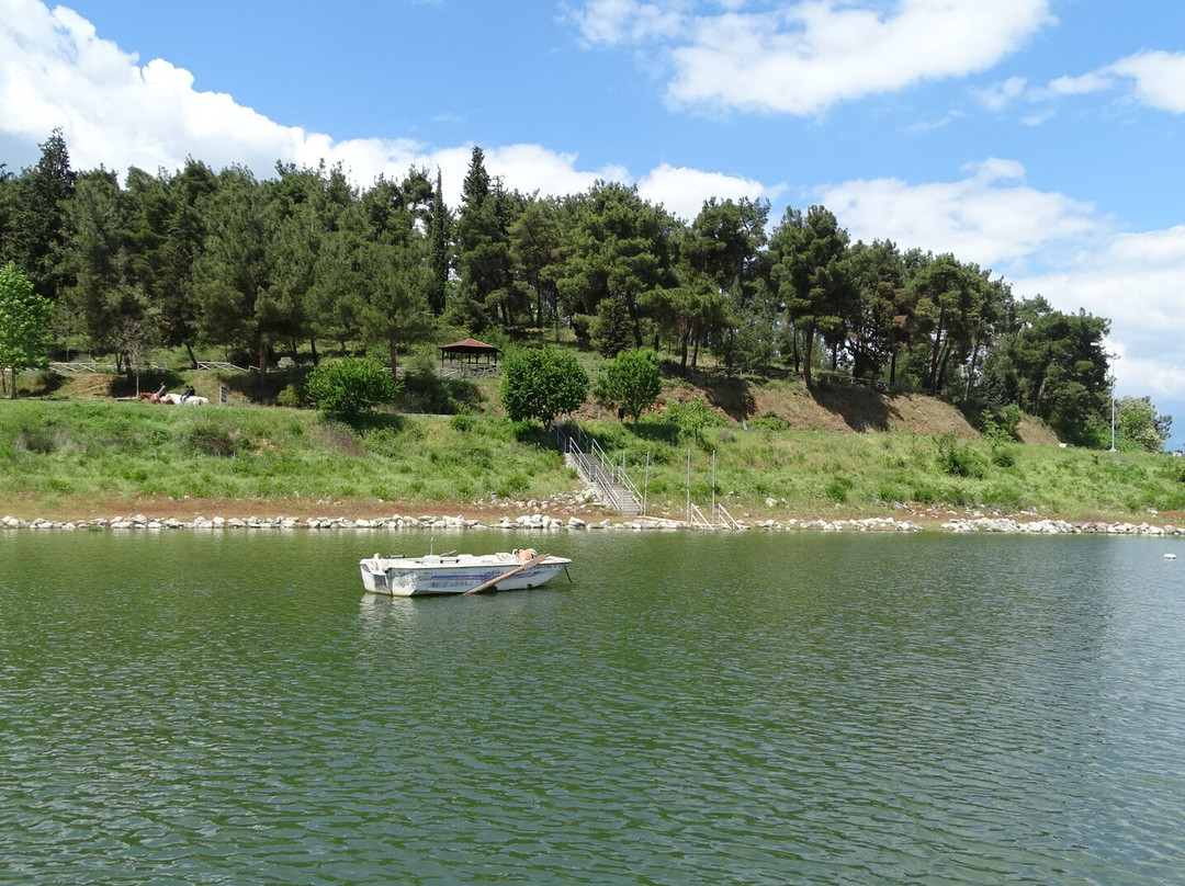 Kerkini Lake景点图片