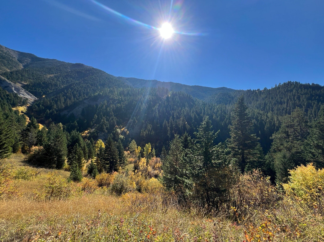 Middle Cottonwood Trailhead-博兹曼必去景点