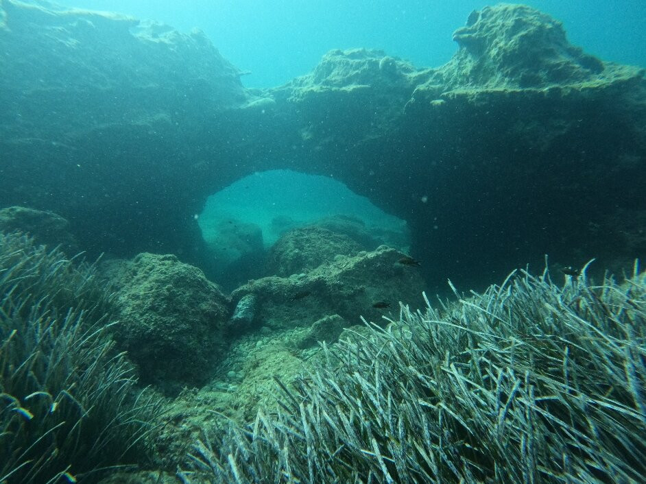 Dive Easy-Acharavi必去景点