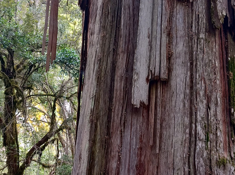 Glaxiar Mountain & Adventure Co.-Esquel必去景点