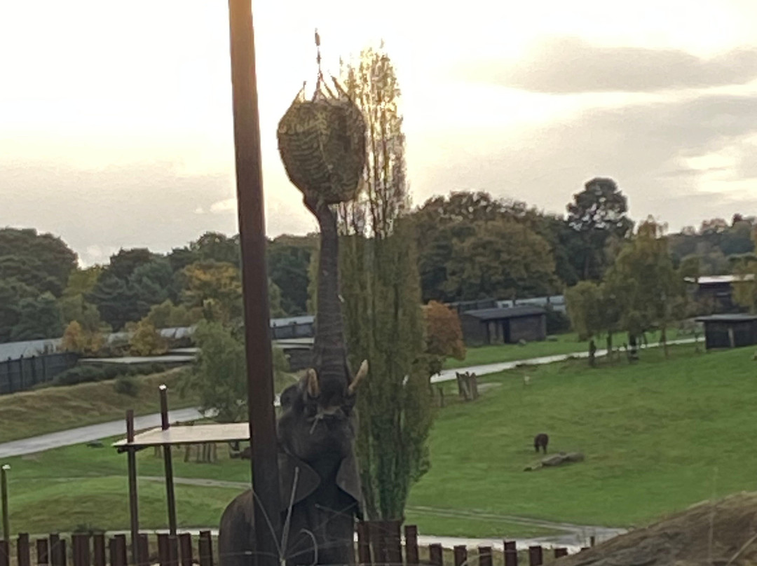 Safari Lodges At West Midlands Safari Park主图