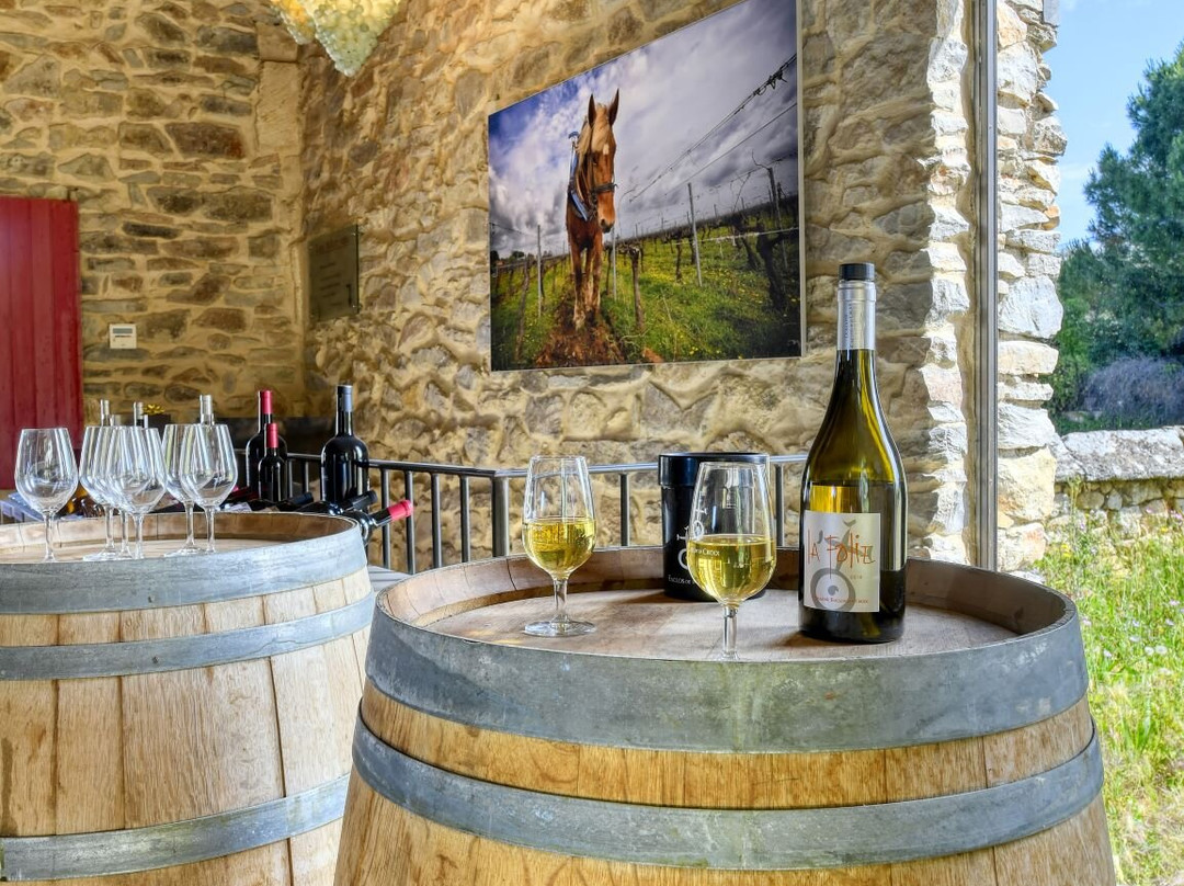Domaine  Enclos de la Croix景点图片