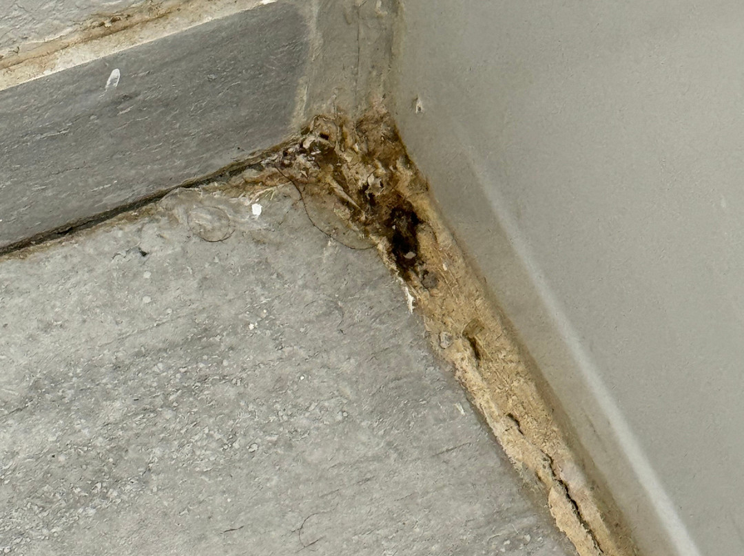 Days Inn by Wyndham Jackson主图