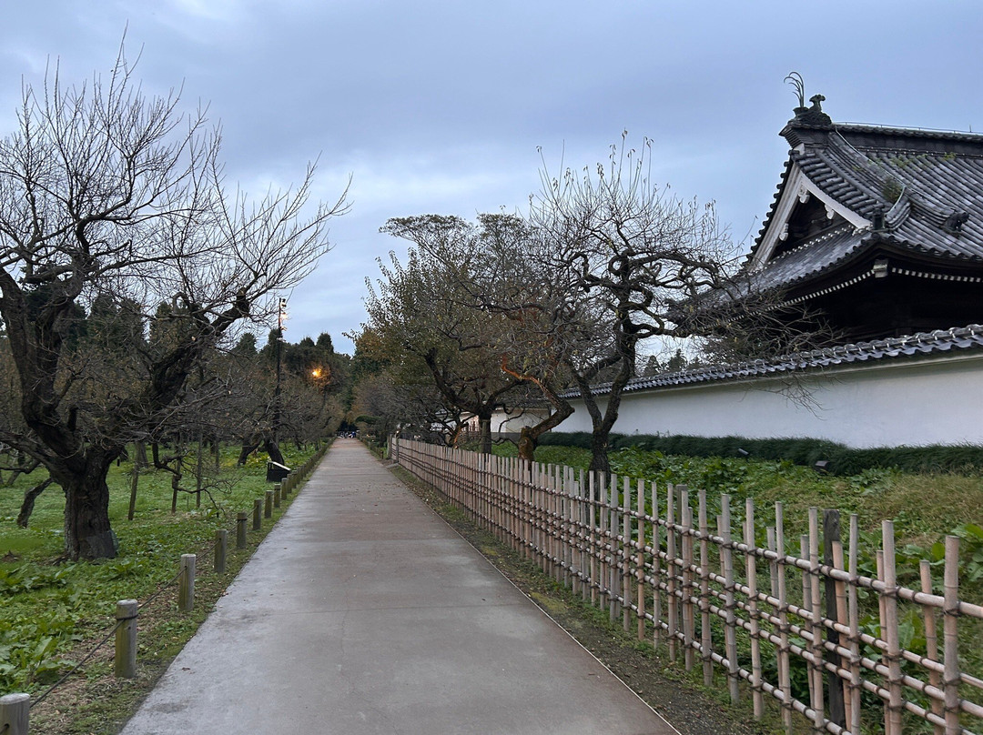 Kodokan Park-水户市必去景点