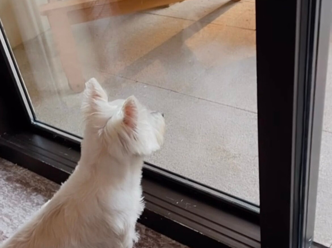 The Umstead Hotel and Spa主图