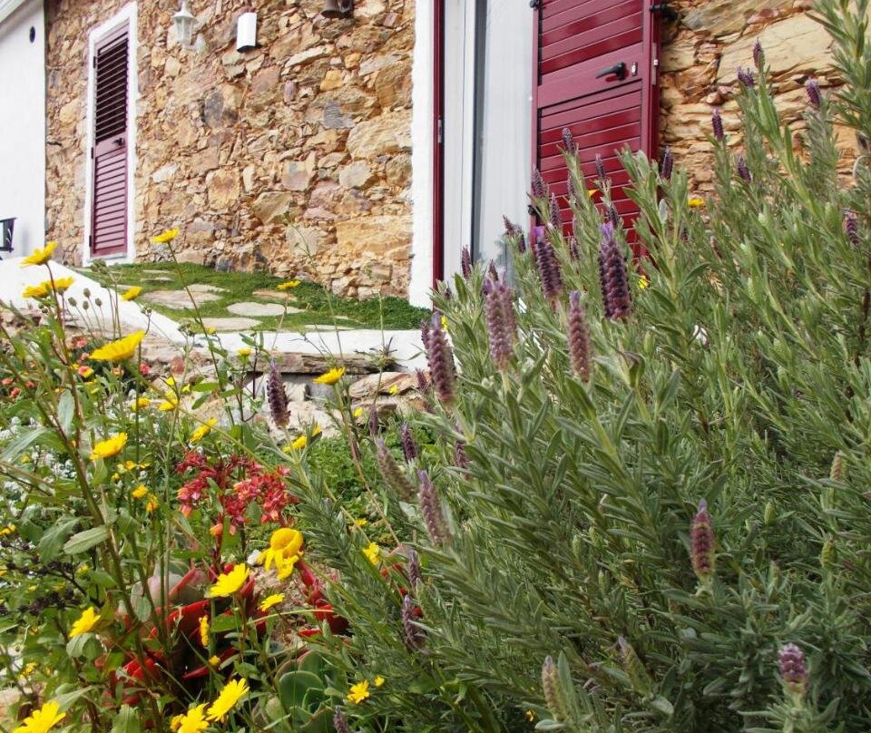 Casas De Campo De Vale De Junco主图