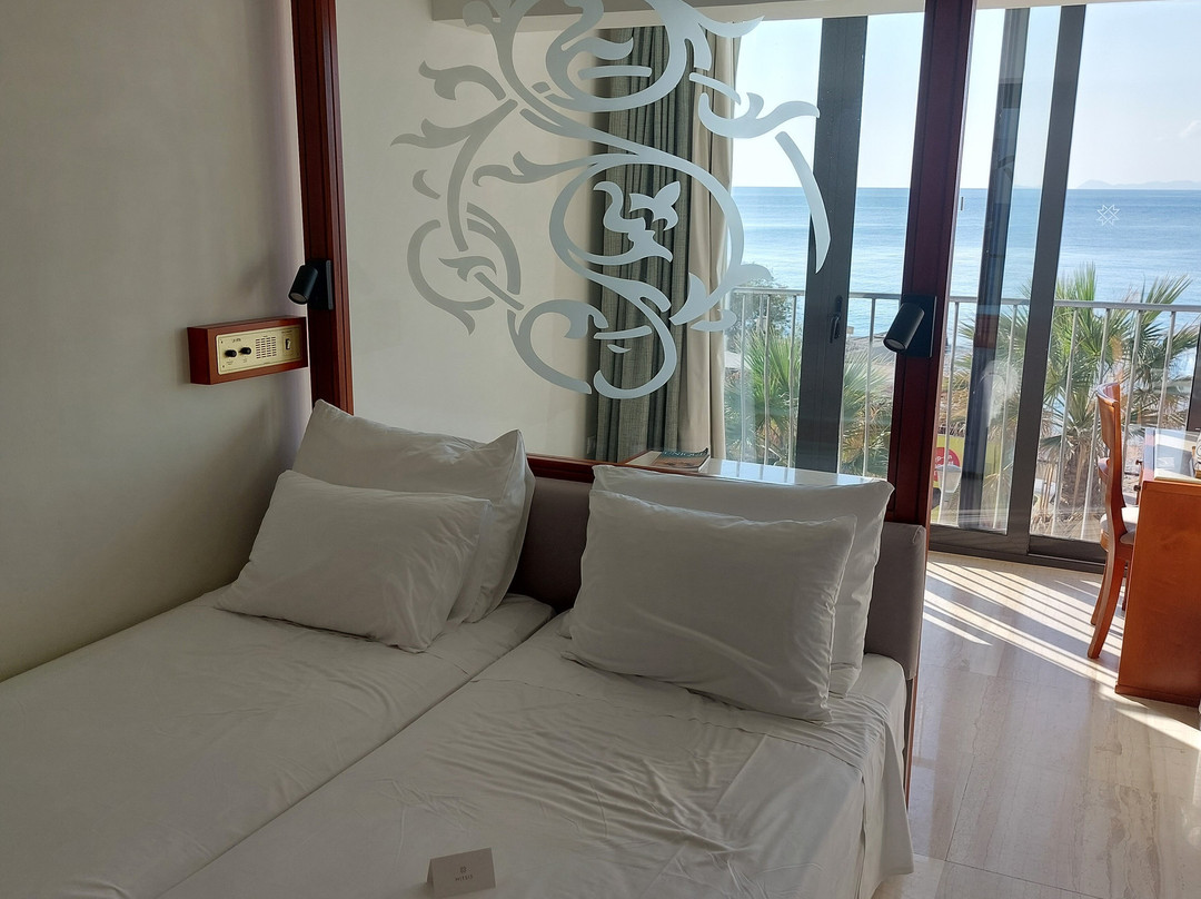 米茨斯拉维塔酒店主图