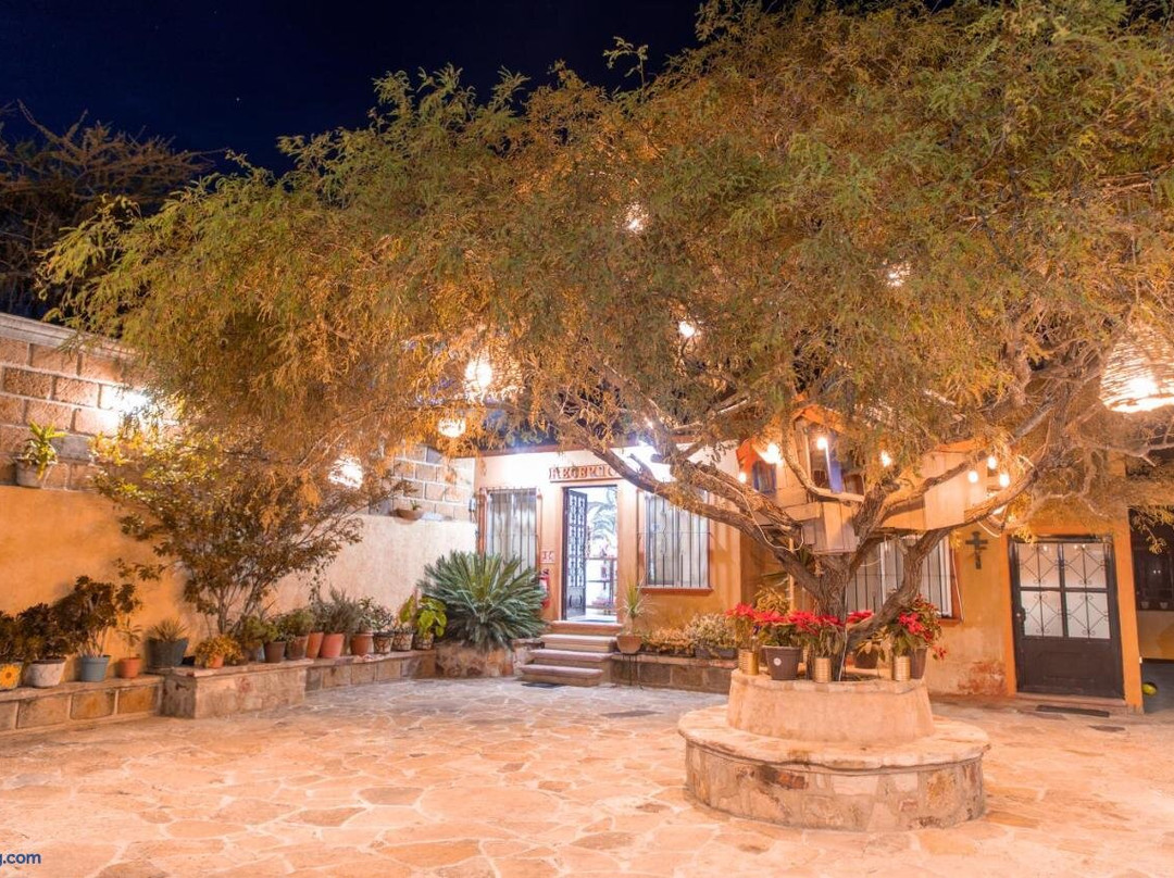 Hotel Casa del Arbol