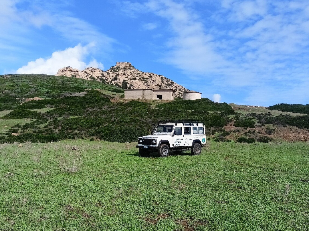 Wild Asinara Park-萨萨里省必去景点