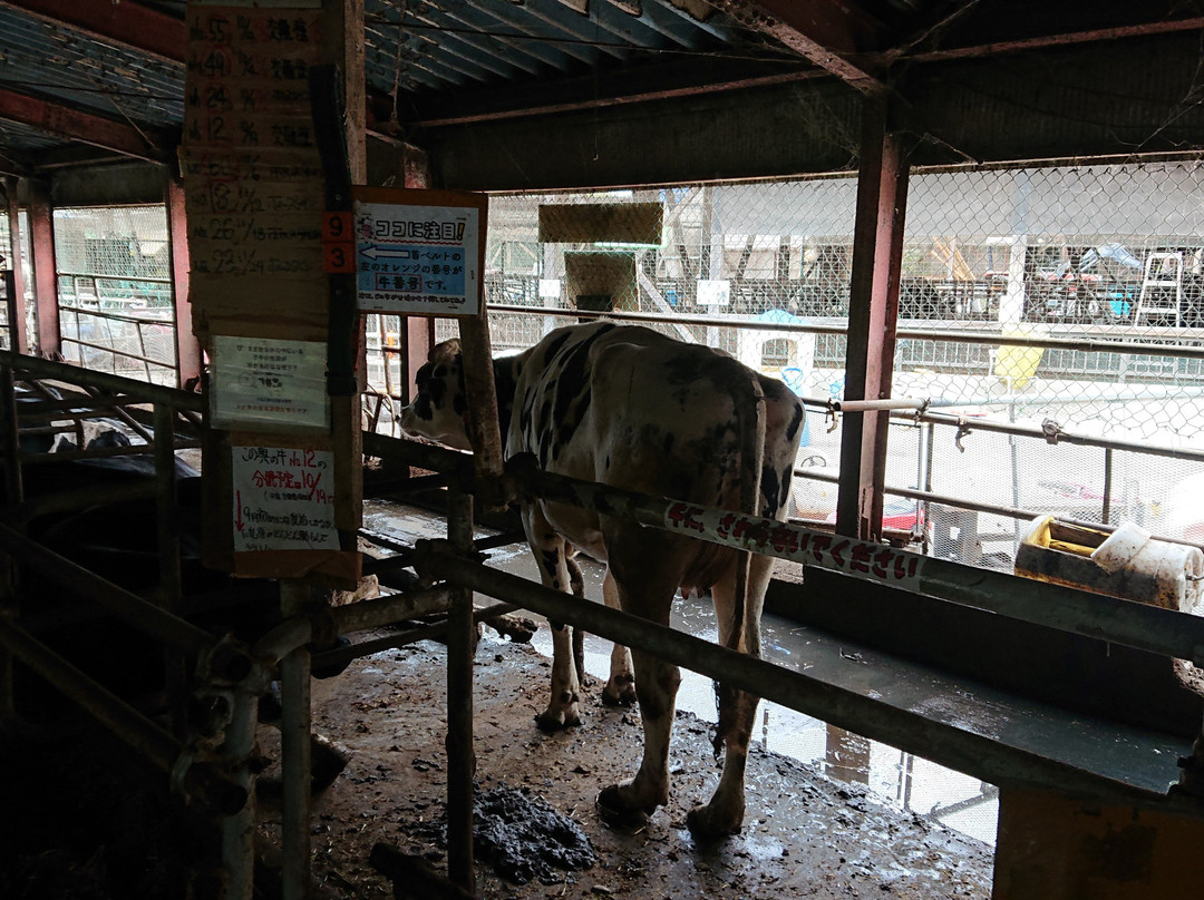 Enomoto Diaryfarm-上尾市必去景点