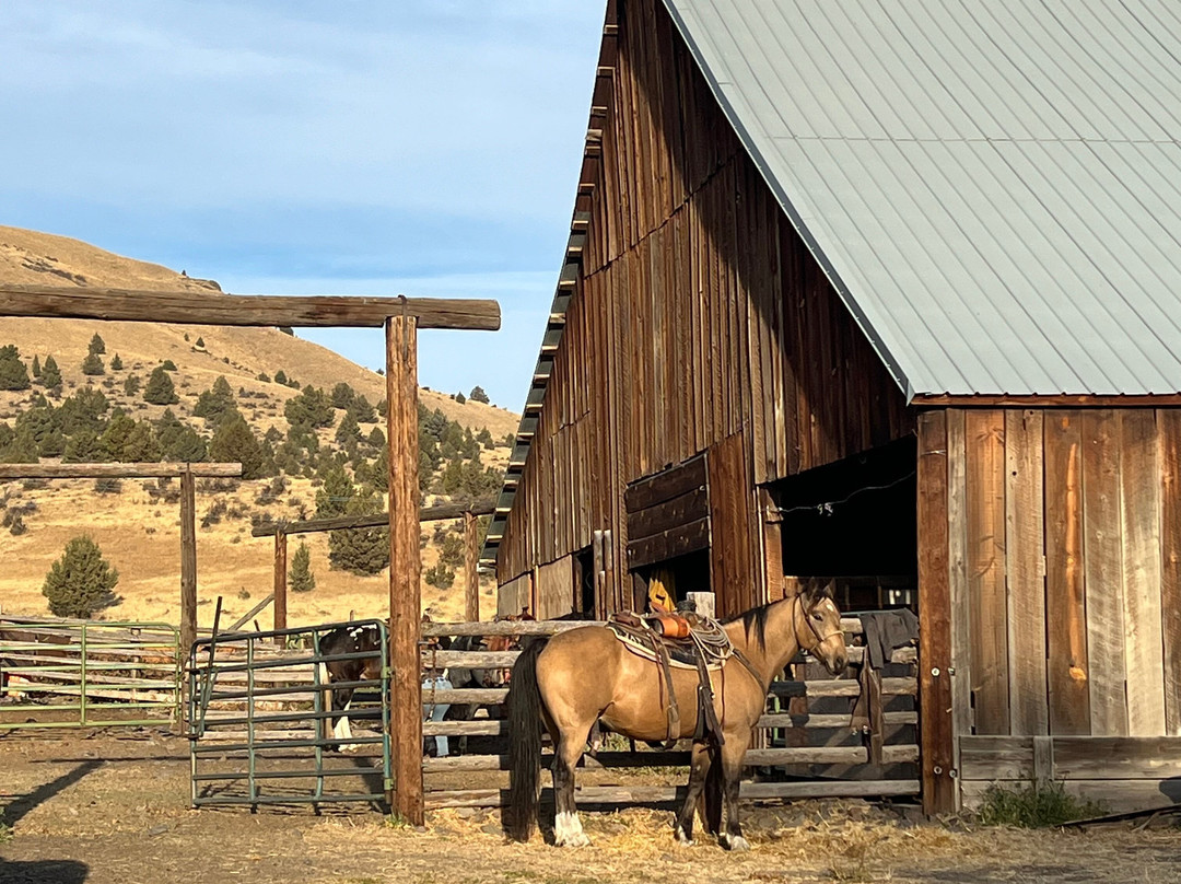 Wilson Ranches Retreat Bed & Breakfast主图