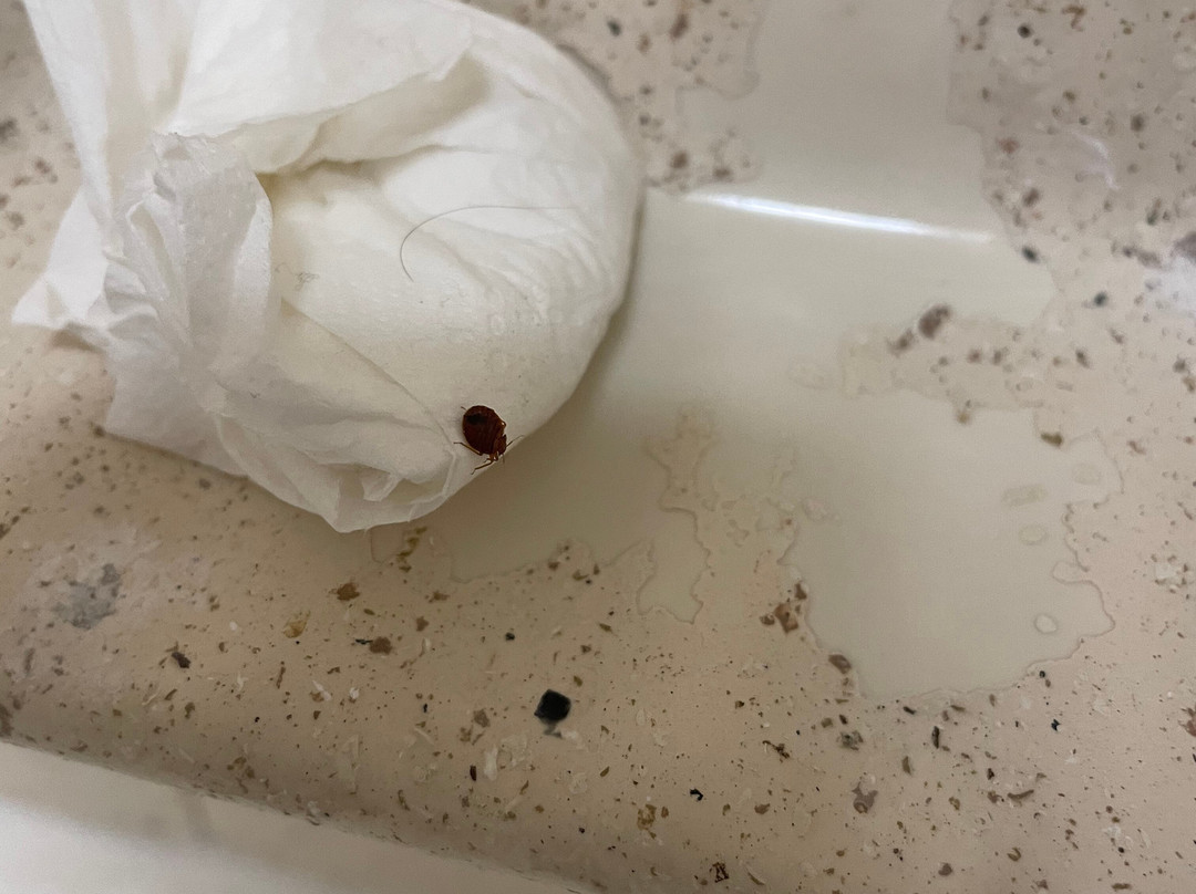 Extended Stay America - Columbus - Tuttle主图