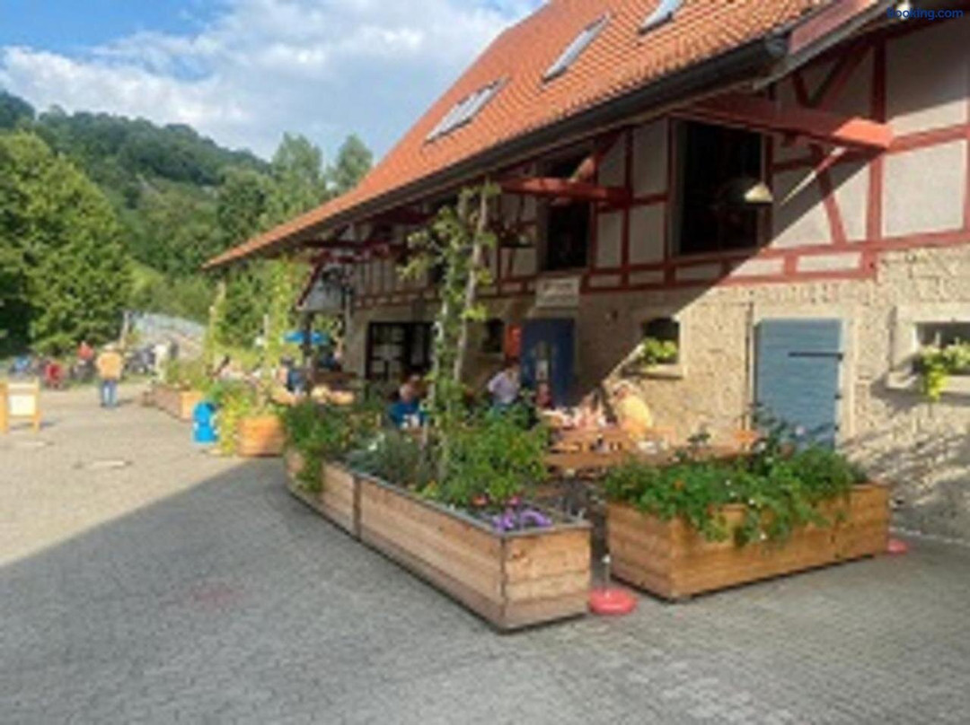 Gasthaus Holdermühle主图