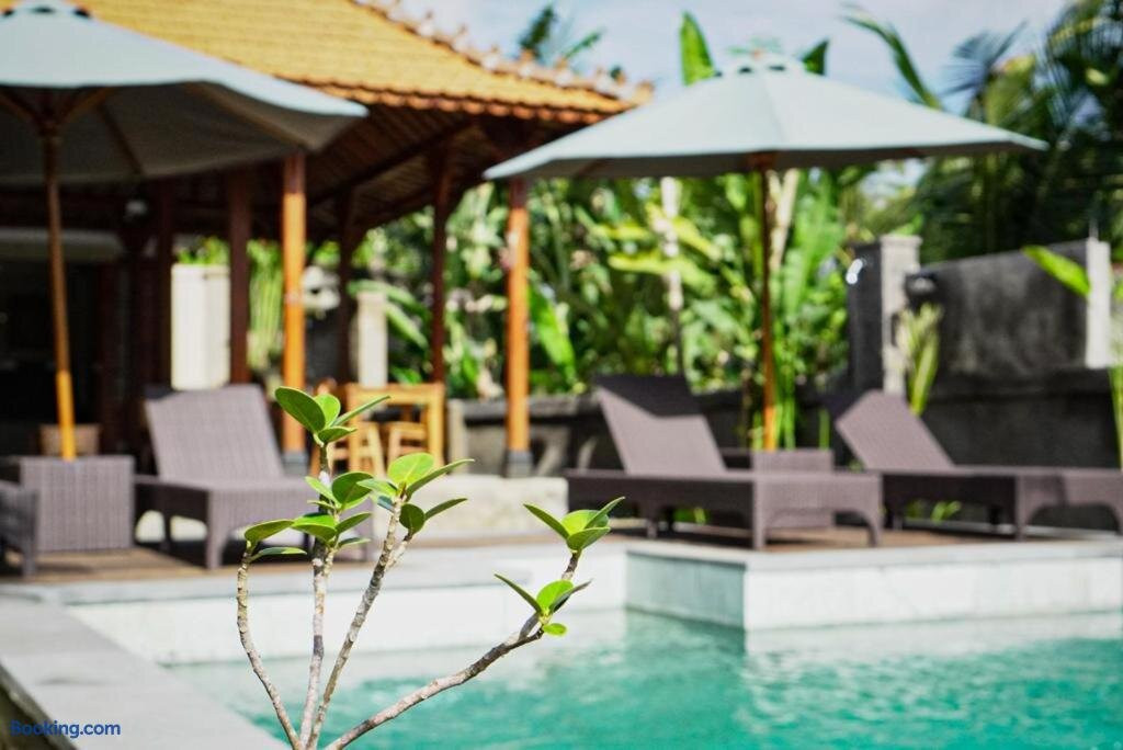 The Banana's Kumbe Villa