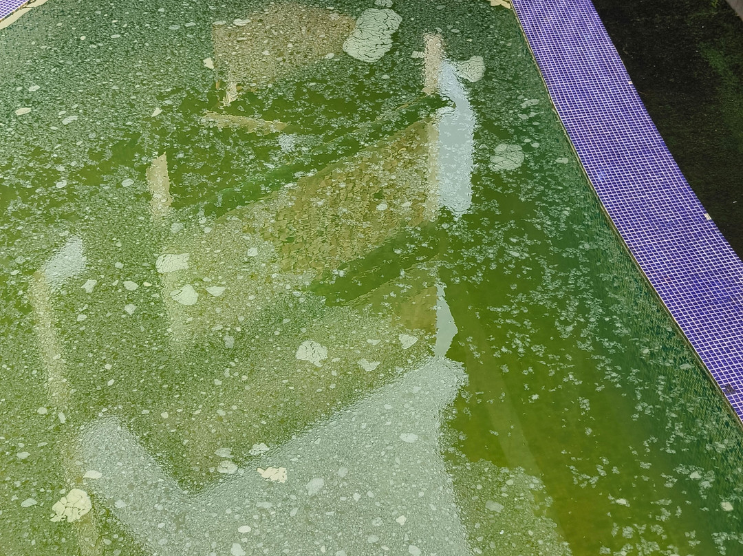 Hotel Coral Digha主图