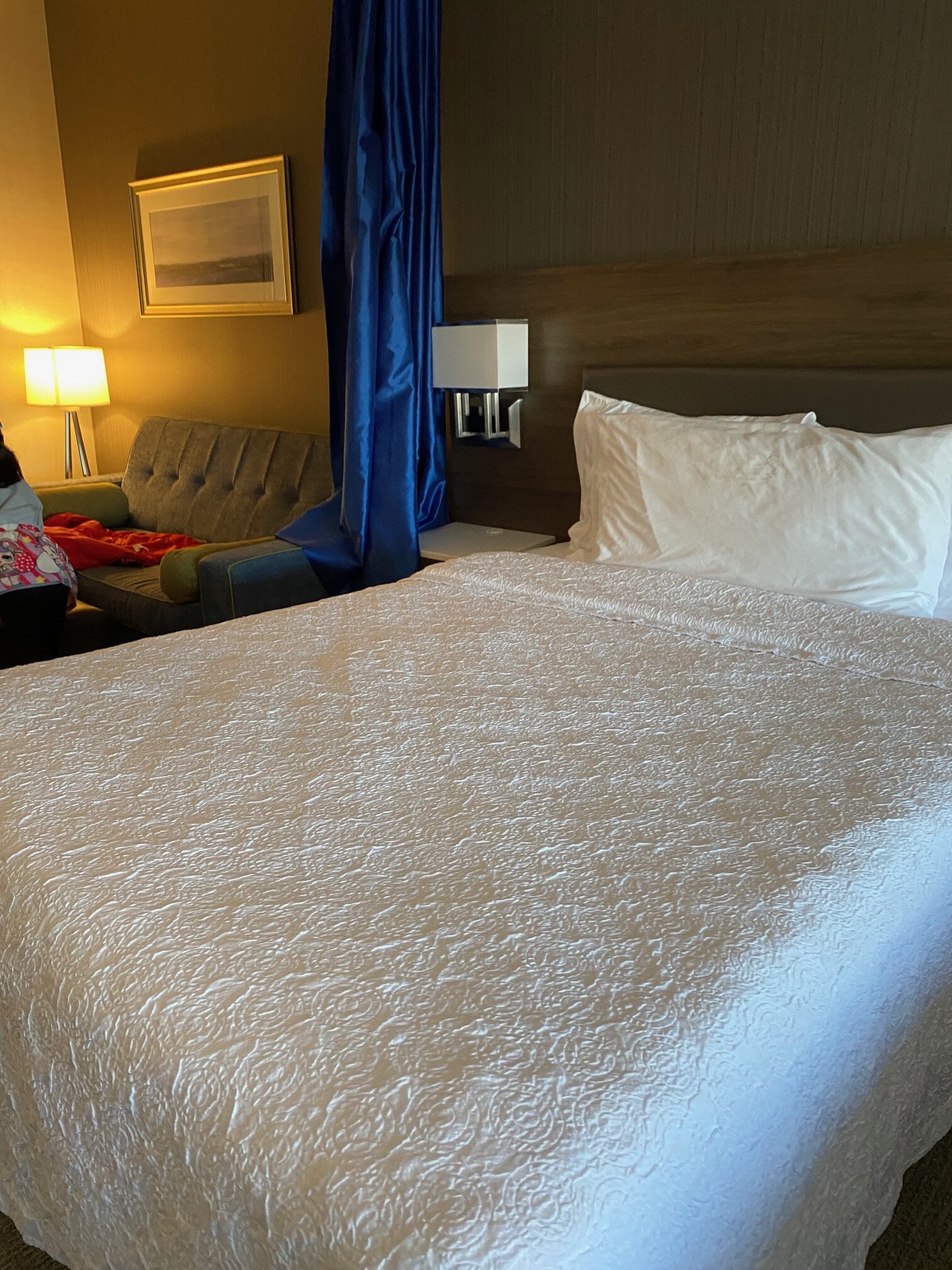 Home2 Suites by Hilton Toronto Brampton-客卧