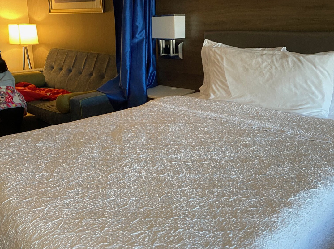 Home2 Suites by Hilton Toronto Brampton主图