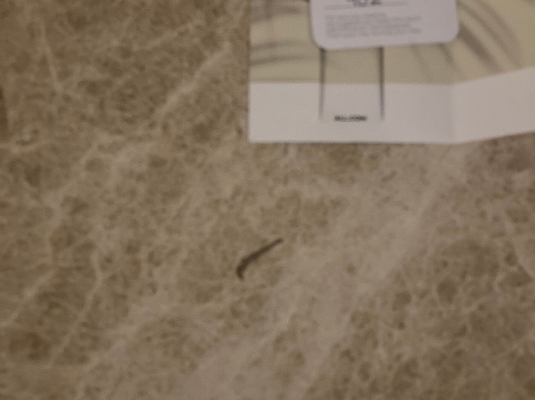 诺富特酒店卧龙岗北岸主图