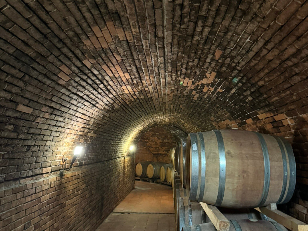 Scenic wine tours in Tuscany景点图片