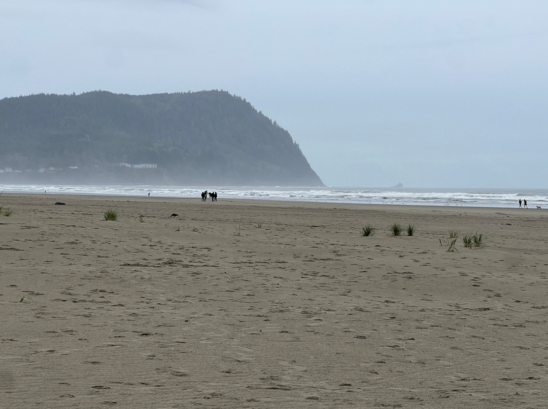 Inn of the Four Winds主图