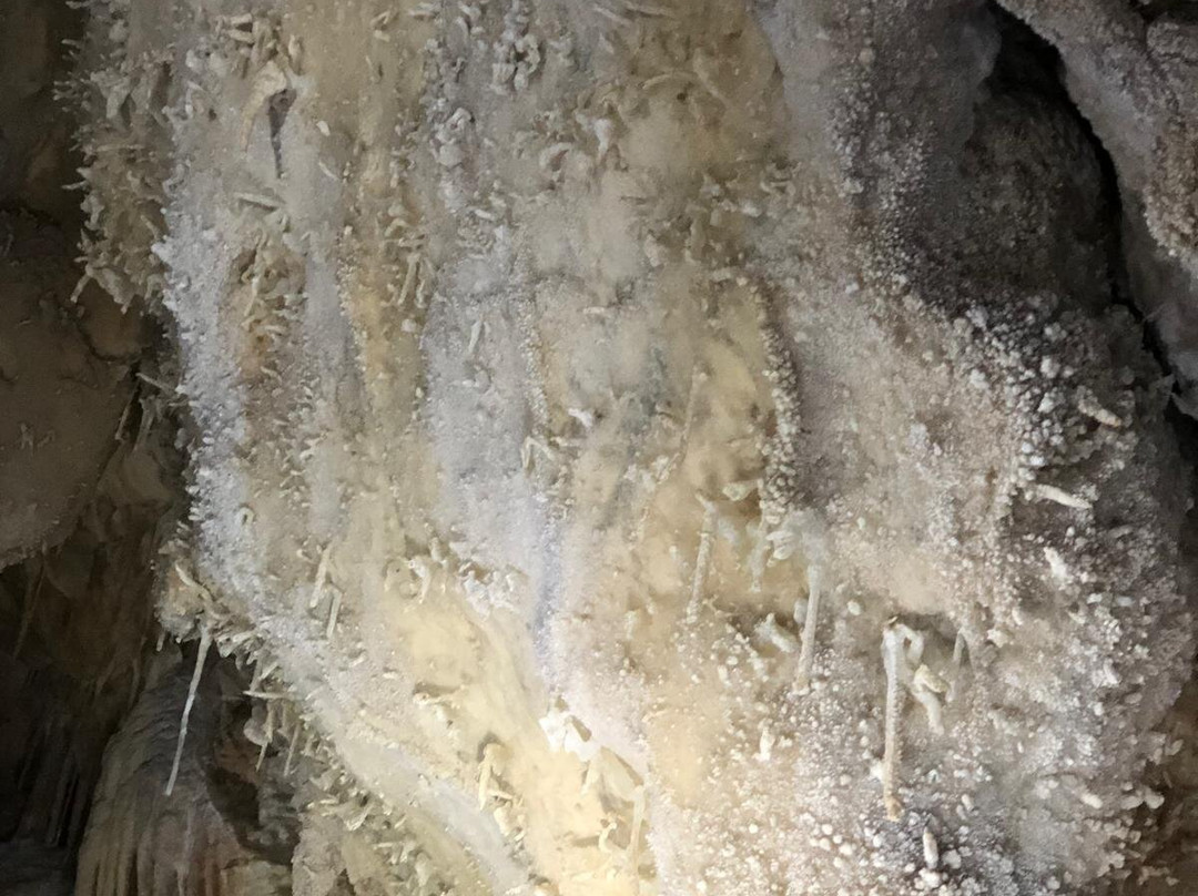 Grotta del Cervo景点图片