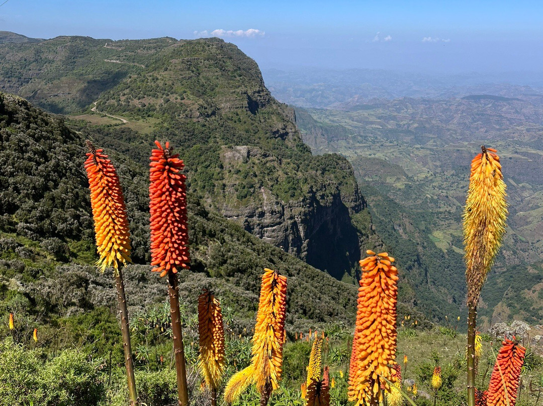 Simien Tops Eco-Trek景点图片