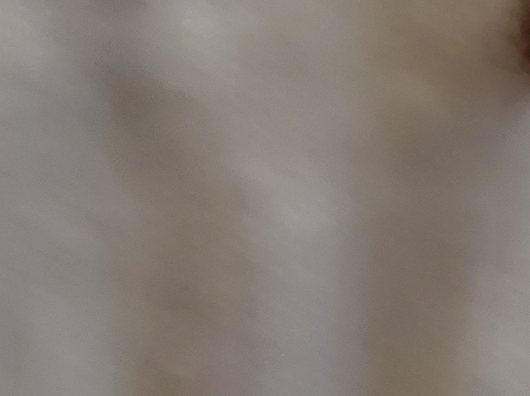 落基山烛木套房酒店主图