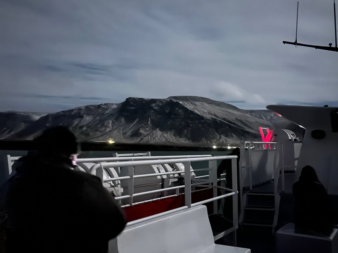 Elding Adventure At Sea - Reykjavik-雷克雅未克必去景点