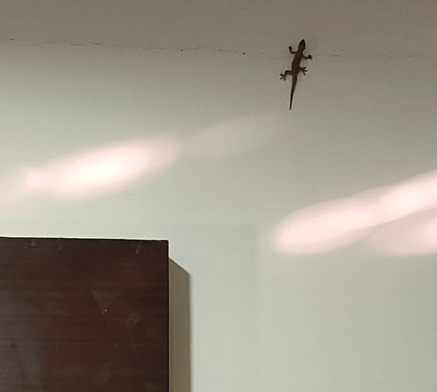 TGI Jahaj Mahal Resort主图