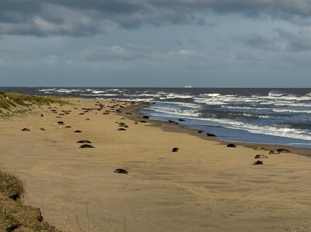 Winterton Dunes-Winterton-on-Sea必去景点