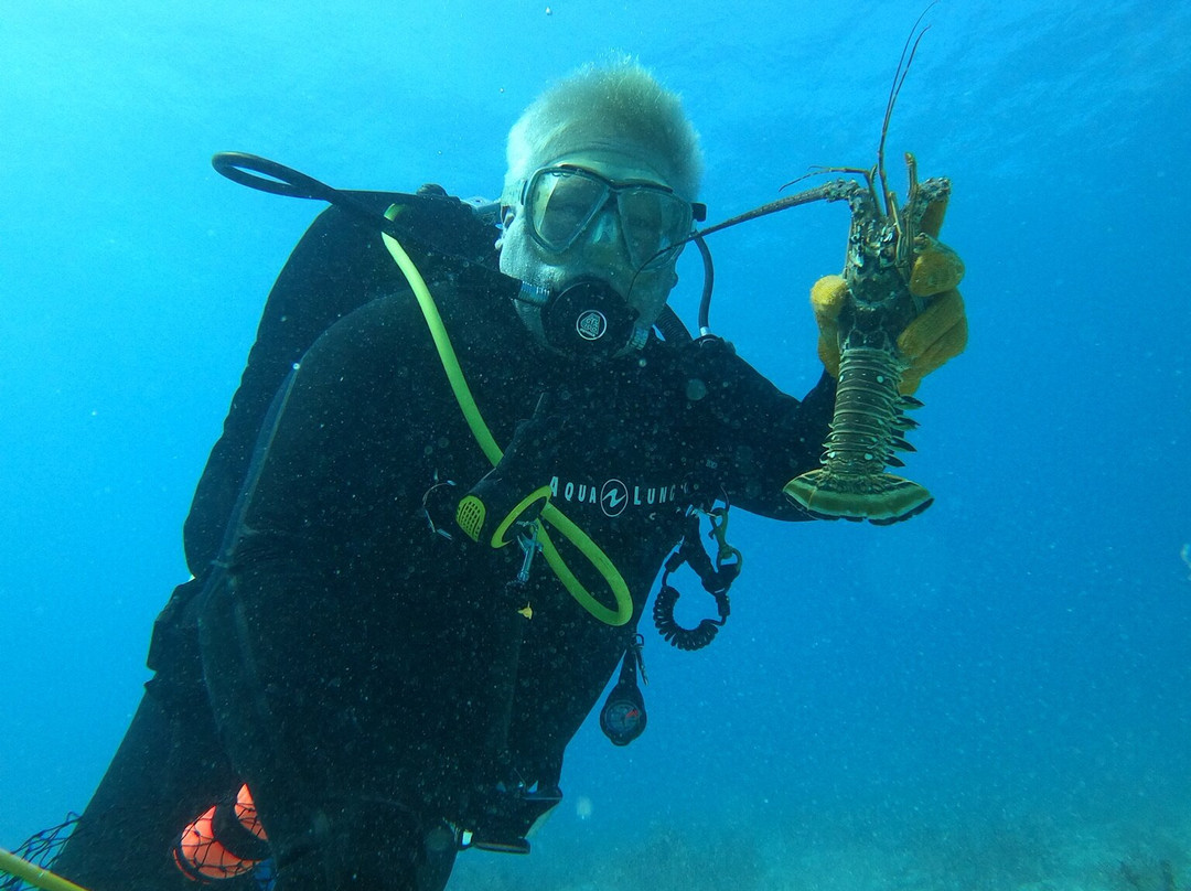 Aquathor Aquatics