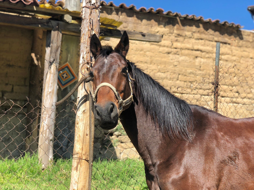 Entre Riendas Mx-Ocoyoacac必去景点